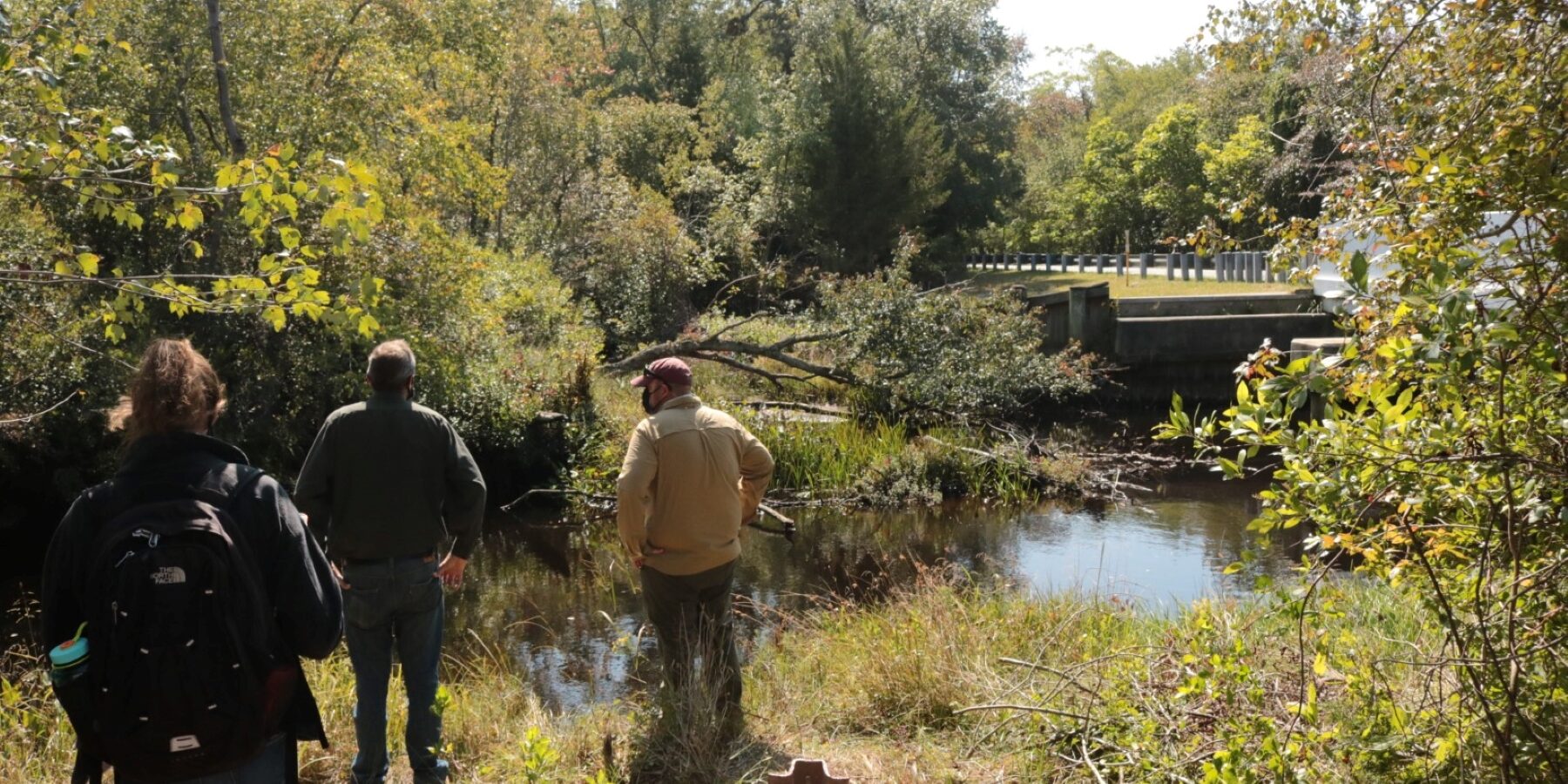 people standing near a body of water and surrounded by trees and grasses