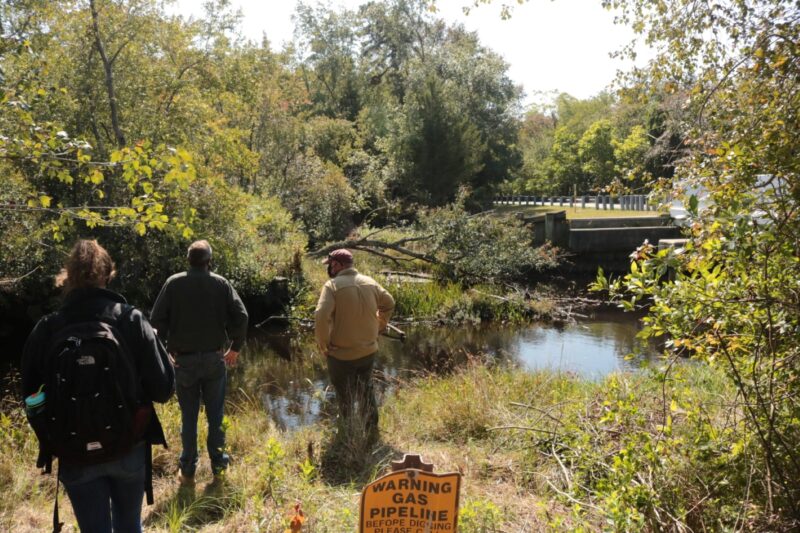 people standing near a body of water and surrounded by trees and grasses